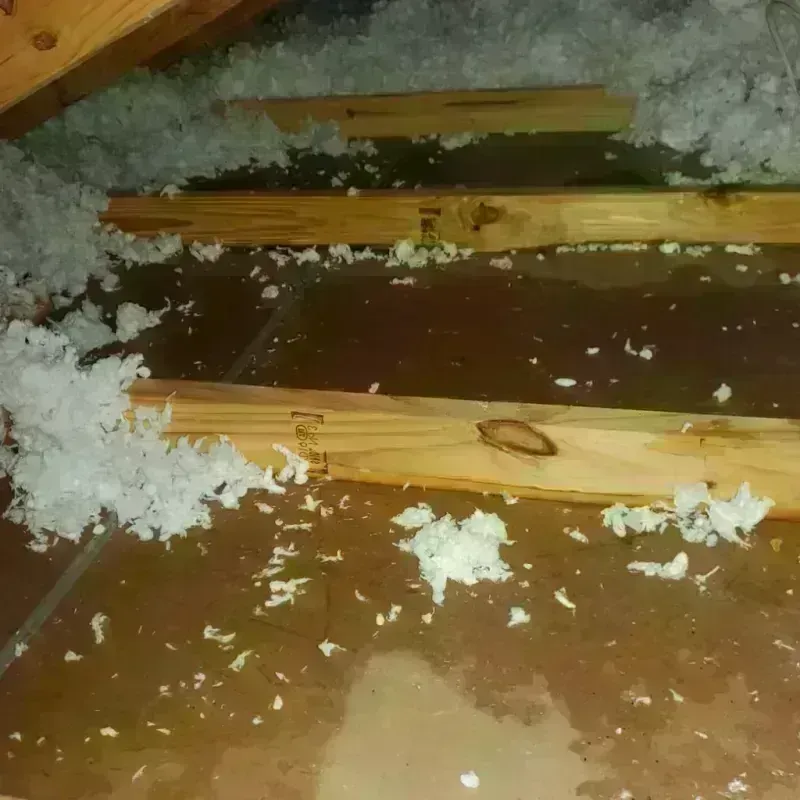 Attic Water Damage in Sunflower, MS